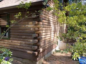 Megan Log Replacement Gallery 5