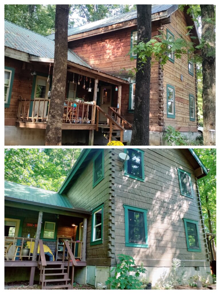 20260131 063555 COLLAGE~2