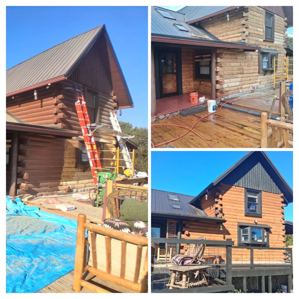 20260131 064455 COLLAGE