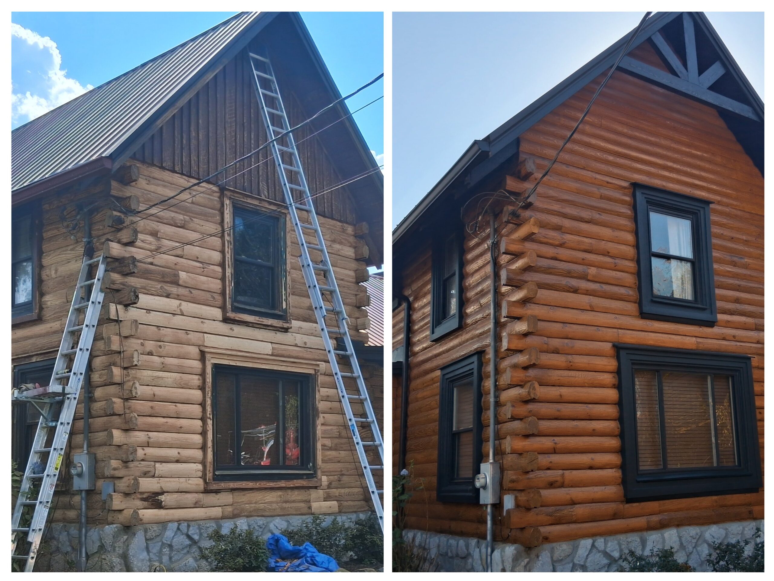 20260131 070843 COLLAGE