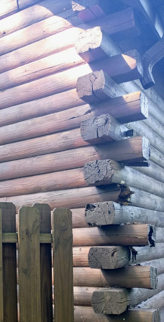 IMG 20250624 154110478~2 (1)